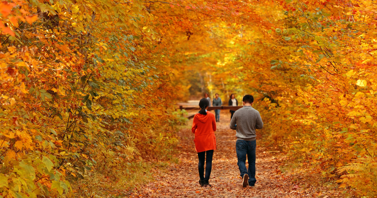 8 xu hướng tóc mùa thu bạn nên thử ngay