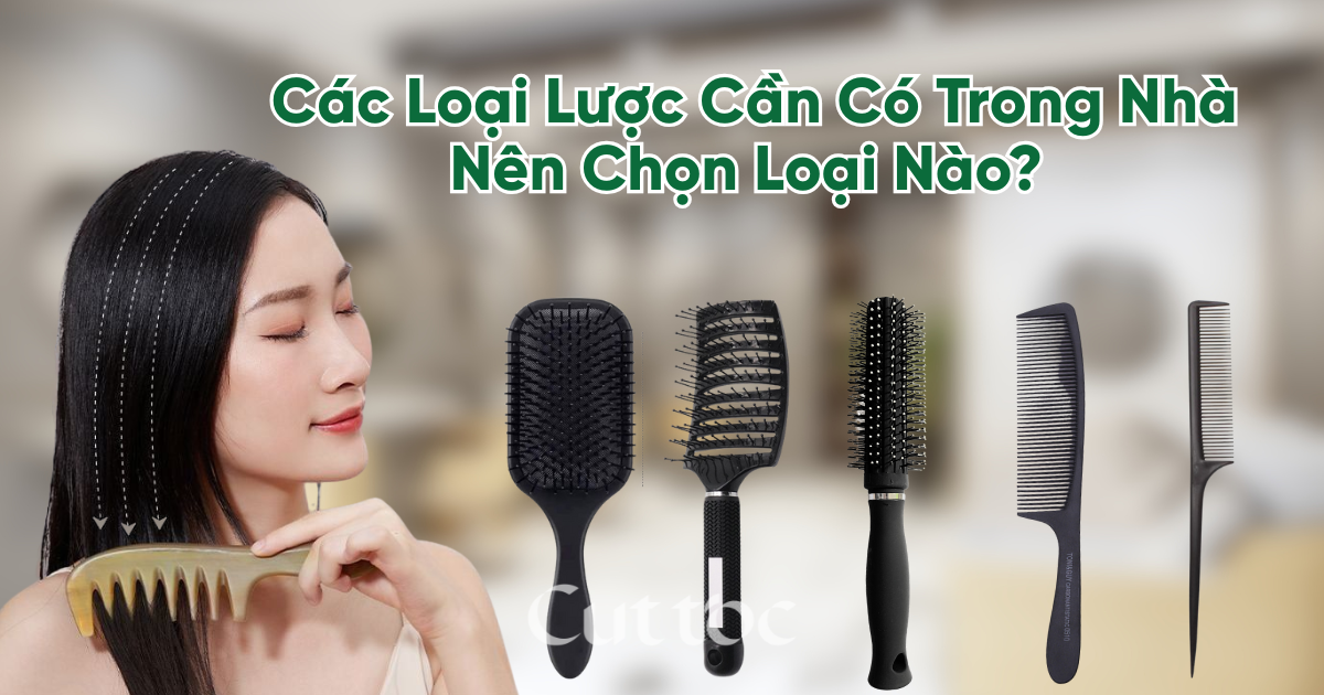 Các Loại Lược Cần Có Trong Nhà: Công Dụng Chi Tiết & Cách Chọn Chuẩn Nhất