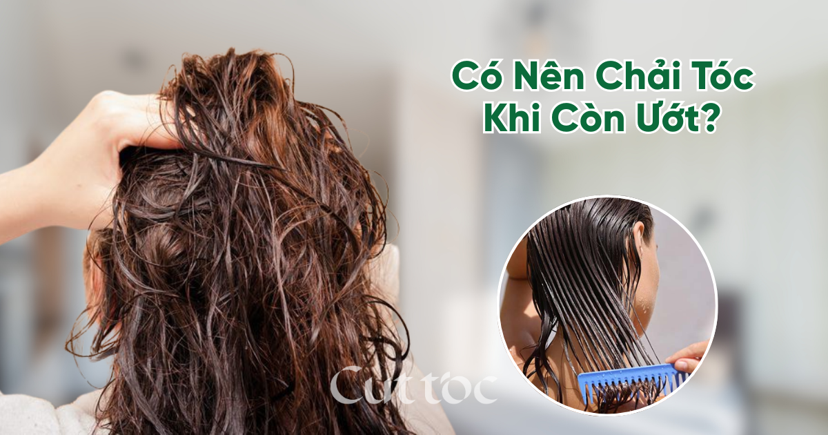 Có Nên Chải Tóc Khi Còn Ướt? Sự Thật Nhiều Người Bỏ Qua