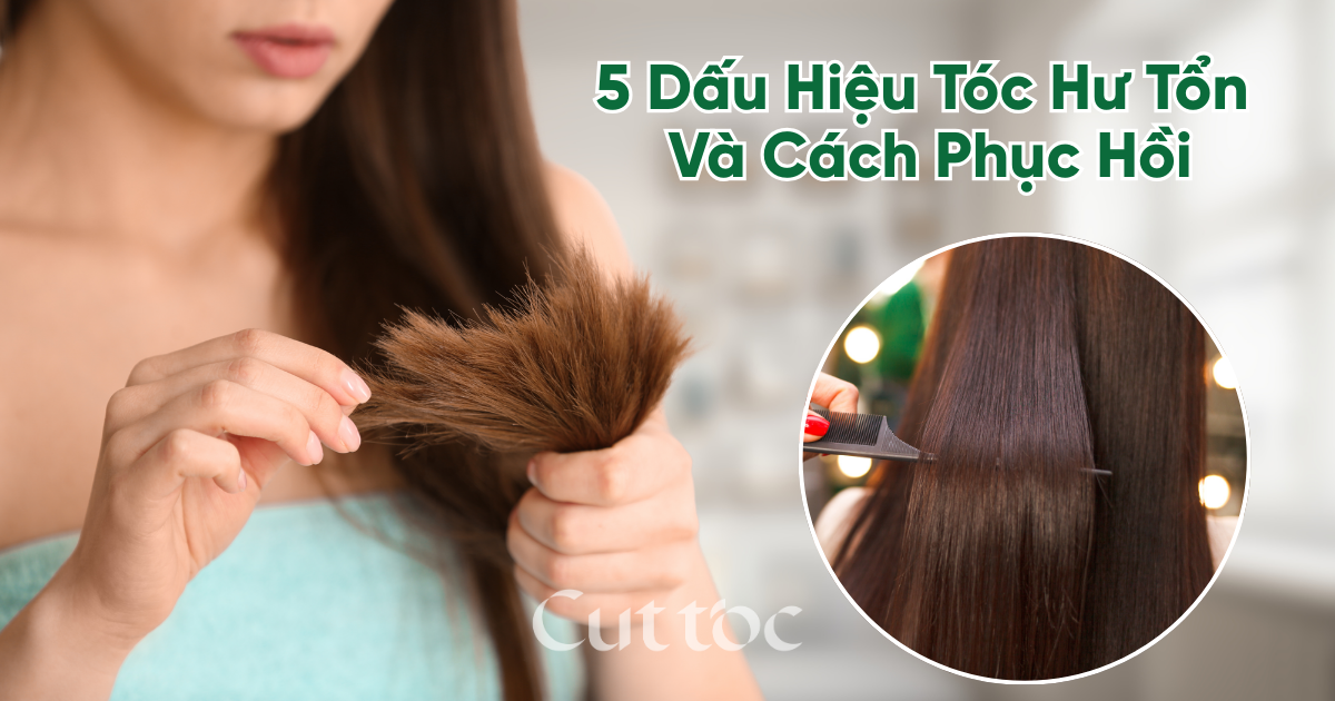 5 Dấu Hiệu Tóc Hư Tổn & Cách Phục Hồi Tóc Hư Tổn Đơn Giản – Tiết Kiệm | Cuttoc