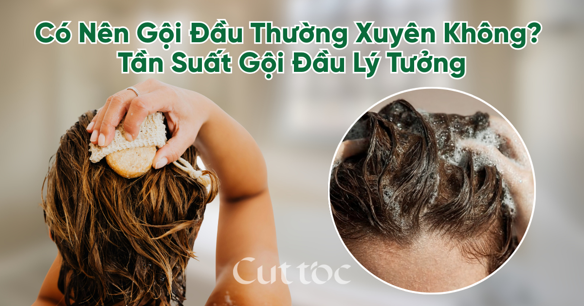 Có Nên Gội Đầu Thường Xuyên Không? Tần Suất Gội Chuẩn Cho Từng Loại Tóc