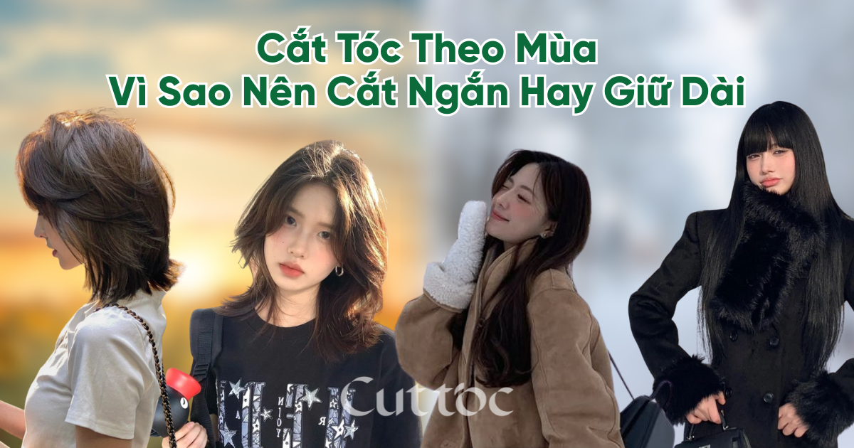 Cắt Tóc Theo Mùa: Vì Sao Mùa Hè Nên Cắt Ngắn, Còn Mùa Lạnh Nên Giữ Độ Dài Vừa Phải