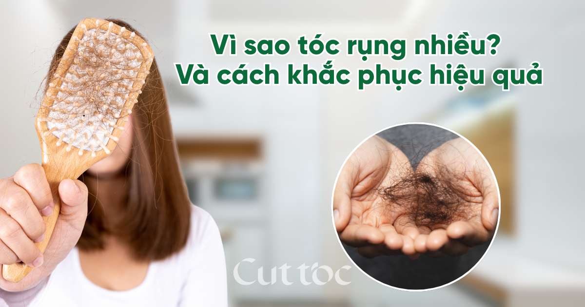 Vì sao tóc rụng nhiều? Giải thích rõ và cách khắc phục hiệu quả