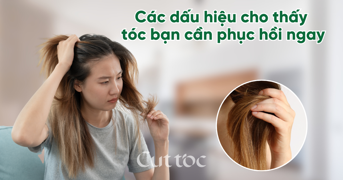 Các dấu hiệu cho thấy tóc bạn cần phục hồi ngay (đừng bỏ qua)