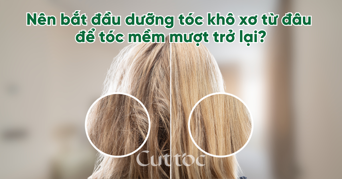 Dưỡng tóc khô xơ: Nên bắt đầu từ đâu để tóc mềm mượt trở lại?