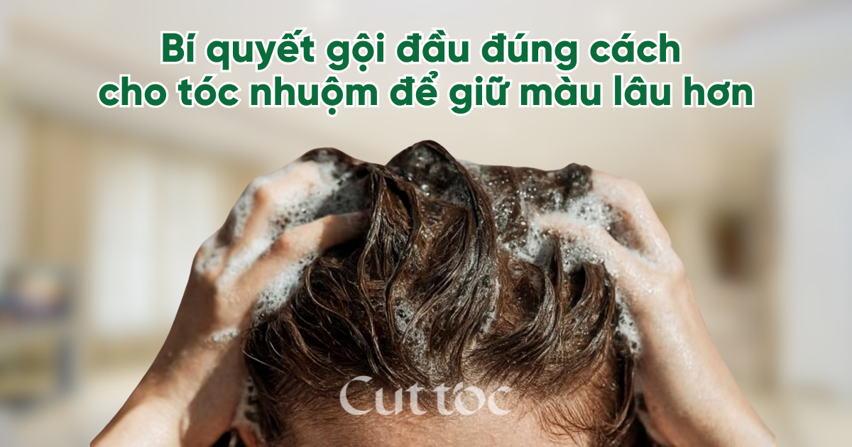 Bí quyết gội đầu đúng cách cho tóc nhuộm để giữ màu lâu hơn